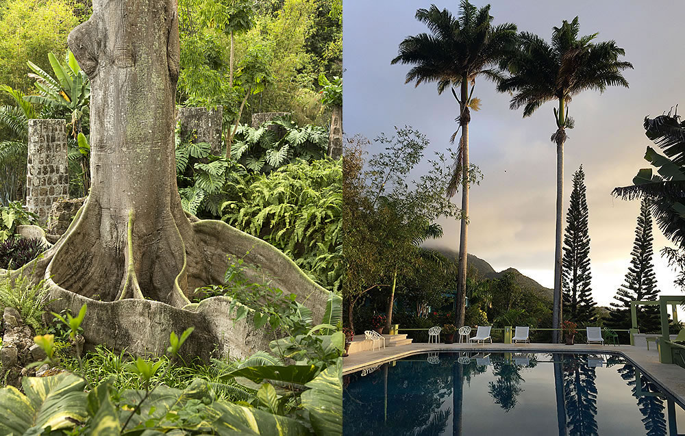 Golden Rock Inn Nevis | Caribbean Hotel